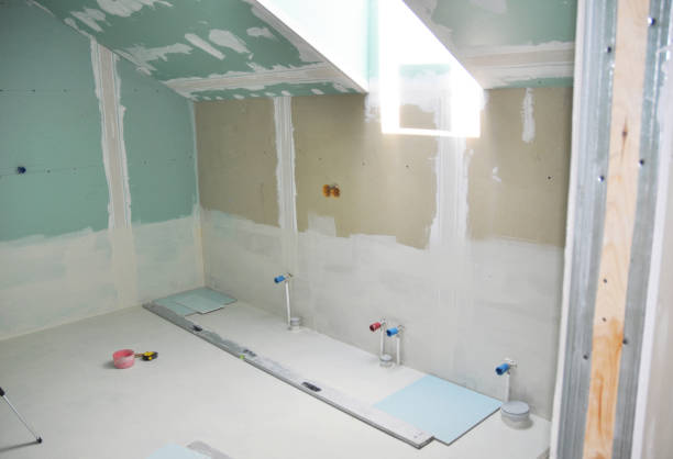 Best Commercial Mold Inspection  in Johnson Lane, NV