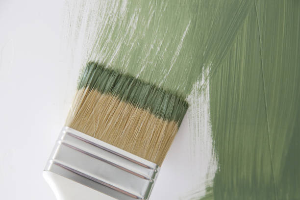 Best Water Damage & Mold Remediation  in Johnson Lane, NV