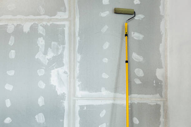 Best Attic Mold Removal  in Johnson Lane, NV