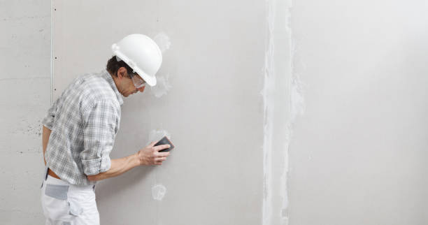 Best Forensic Mold Investigation  in Johnson Lane, NV
