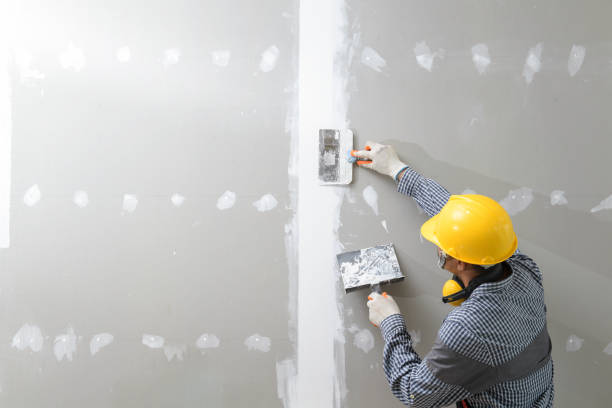 Best Asbestos and Lead Testing During Mold Inspection  in Johnson Lane, NV