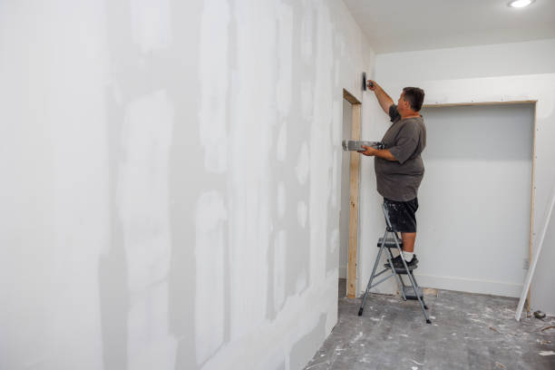 Best Mold Remediation for Healthcare Facilities  in Johnson Lane, NV