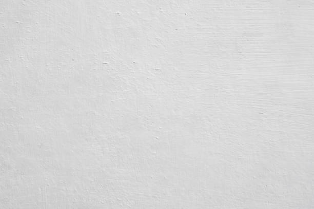 Best Black Mold Removal  in Johnson Lane, NV