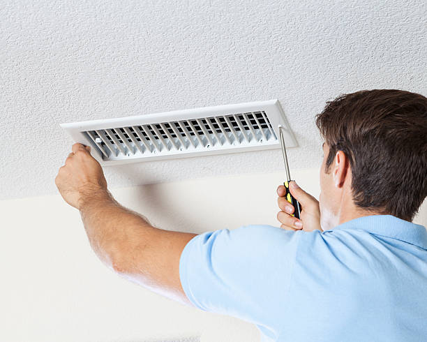Best Mold Remediation for Healthcare Facilities  in Johnson Lane, NV