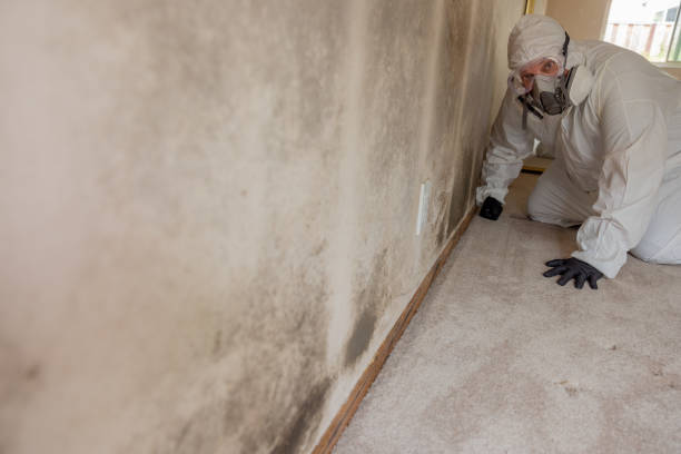 Best Biohazard Mold Removal  in Johnson Lane, NV