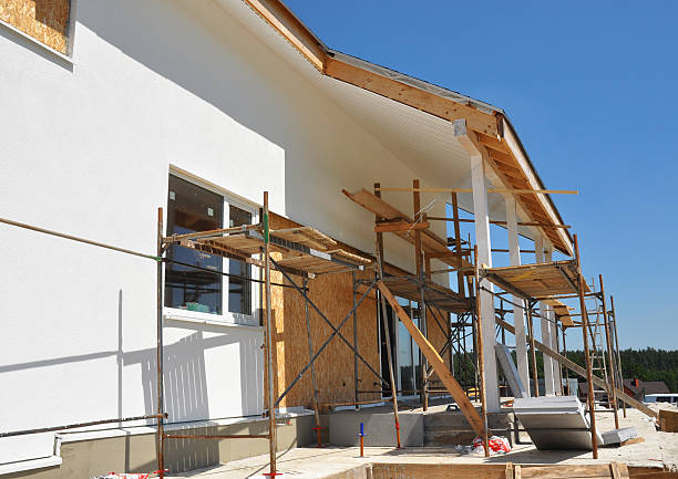 Best Commercial Mold Inspection  in Johnson Lane, NV