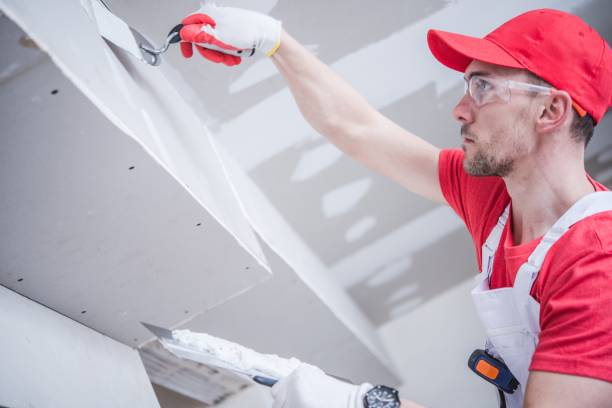 Best Real Estate Mold Inspection  in Johnson Lane, NV