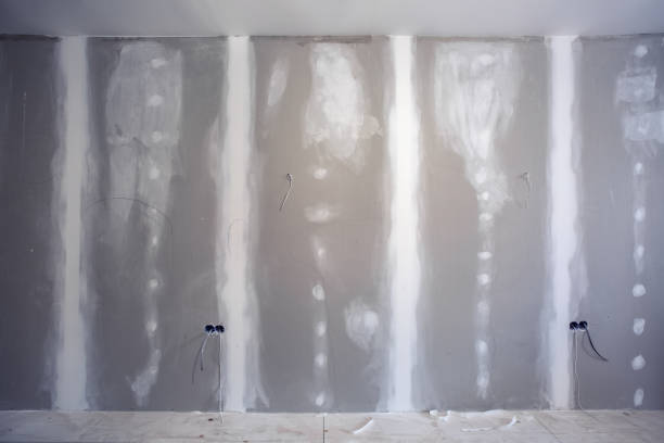 Best Mold-Related Health Consultation  in Johnson Lane, NV