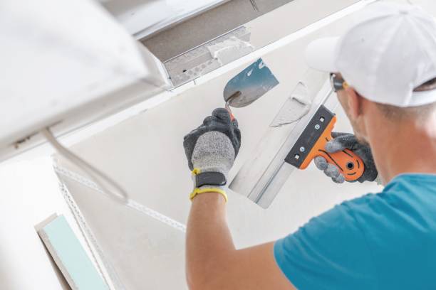 Best Water Damage & Mold Remediation  in Johnson Lane, NV
